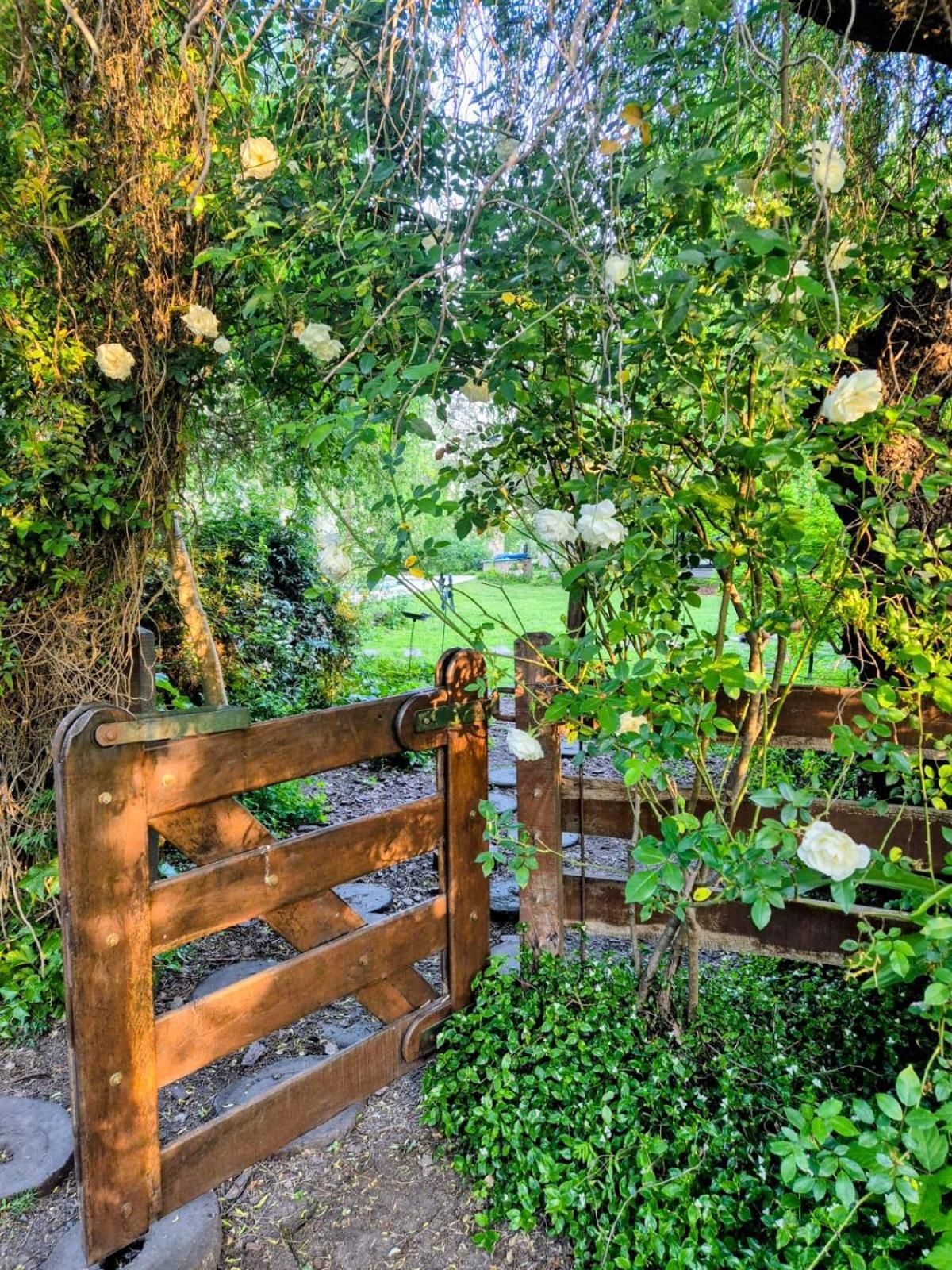 La Ignacia Bed&Breakfast Pilar  Esterno foto